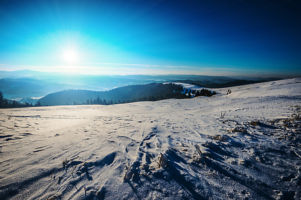 포토 JPG 해외이미지 나무 계절 여행 백그라운드 겨울 자연 하늘 휴가 스키 산 파노라마 풍경 경사 사람없음 파란색 우주 맑음 냉동 얼음 황혼 일몰 하이킹 추위 흰색 시골 야간 숲 신비 언덕 서리 북쪽 내추럴 절정 눈내림 가문비나무 해외포토 자연요소 식물 컬러 컨셉 레저 날씨 겨울스포츠 눈_날씨 촬영기법 노을 방향 생태계 파일형식 이미지허브
