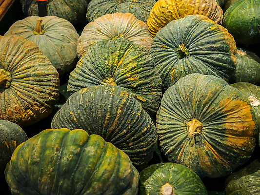 포토 JPG 해외이미지 나무 음료 음식 조각 잎 농업 다이어트 채소 오렌지 과일 비즈니스 자연 호박 건강 손바닥 사람없음 초록색 세계 주방 식사 힘 주스 에너지 성장 신선 시장 정크푸드 폐기물 굽기 먹기 믹서 유기농 날것 가치 연소 오메가 태국음식 해외포토 식물 손 웰빙 산업 컬러 모션 쓰레기 구이 생태계 동양음식 파일형식 이미지허브