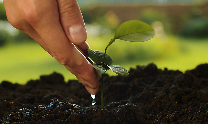 포토 JPG 해외이미지 식물 백인 남자 컨셉 농업 자연 새로움 건강 관리 취미 사람없음 야외 초록색 농장 정원 흙 봄 성장 시골 업무 농부 땅 물주기 유기농 원예 먼지 내추럴 돌봄 땅바닥 모종 밭일 생태학 원예사 해외포토 서양인 직업 웰빙 계절 교육 산업 컬러 모션 바닥 사람 작업 생태계 파일형식 이미지허브