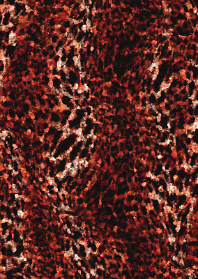 포토 JPG 해외이미지 디자인 배너 종이 벽 패턴 일러스트 표면 추상 수채화 미술 사람없음 빨간색 파란색 컬러풀 갈색 금속 디지털 페인트 수확 골동품 바위 거친 질감 복고 캔버스 그런지 옛날 해외일러스트 컬러 무늬 농업 재질 문화예술 돌_바위 파일형식 이미지허브