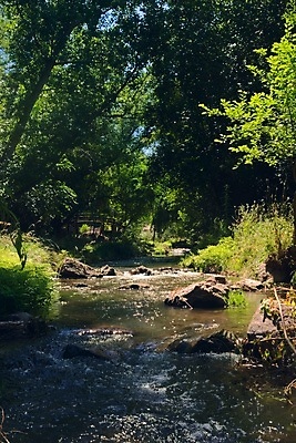 포토 JPG 해외이미지 나무 자연 그림자 사람없음 야외 초록색 물 강 달리기 평화 환경 침묵 봄 흐름 신선 액체 개울 숲 시원함 암초 아르헨티나 내추럴 민물 삼림지대 생태학 현재 해외포토 자연요소 식물 계절 교육 컬러 컨셉 모션 소리 남아메리카 생태계 파일형식 이미지허브
