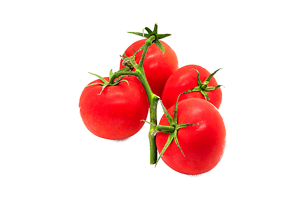 포토 JPG 해외이미지 식물 1 길 클리핑패스 음식 백그라운드 잎 토마토 채소 재료 자연 건강 사람없음 빨간색 초록색 젖음 흰색 신선 원형 체리 그룹 맛 정상 케첩 자르기 수집 싱글 흰배경 유기농 날것 고립 숙성 채식주의자 해외포토 도형 웰빙 컬러 컨셉 과일 모션 소스_음식 생태계 채식 파일형식 이미지허브