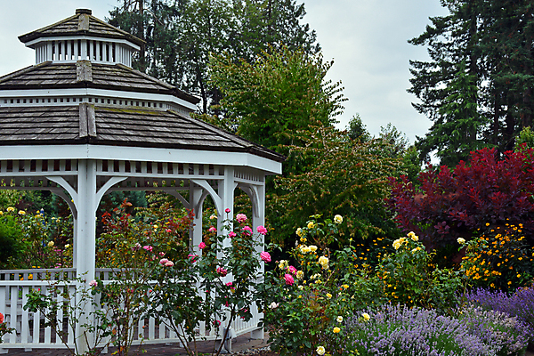 포토 JPG 해외이미지 식물 공원 꽃 꽃무늬 벤치 건축양식 자연 하늘 사람없음 야외 목재 장미 탑 정원 침묵 흰색 원예 해외포토 나무 건축물 공공시설 건축 컬러 무늬 의자 재료 취미 소리 생태계 파일형식 이미지허브