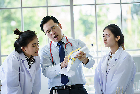 포토 JPG 해외이미지 학생 여자 교육 남자 신체 골격 실험 들기 사람 동양인 성인 세명 교수 가리킴 가르침 실험실 과학자 뇌 대학교 뼈모형 성인만 해외포토 직업 과학 학교 모션 인종 손짓 모형 교사 학자 파일형식 이미지허브