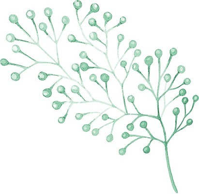 EPS 해외이미지 식물 잎 일러스트 붓터치 수채화 사람없음 그림 번짐 해외일러스트 파일형식 벡터 효과 이미지허브