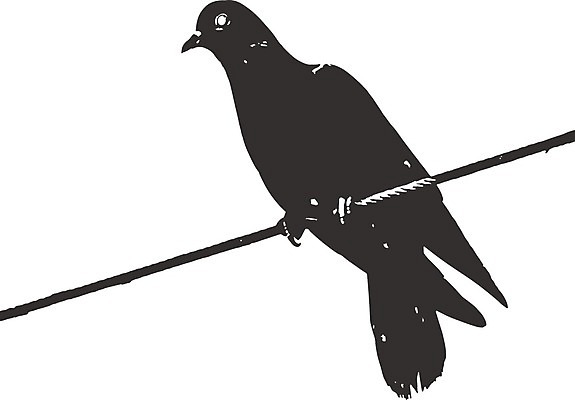 EPS 해외이미지 동물 1 야생동물 백그라운드 날개 일러스트 자연 조류 사랑 야외 파란색 반려동물 컬러풀 평화 환경 회색 자유 흰색 닫기 만화 심볼 깃털 싱글 비둘기 부리 내추럴 고립 동물상 무료 해외일러스트 감정 컬러 컨셉 모션 조형물 생태계 파일형식 벡터 이미지허브