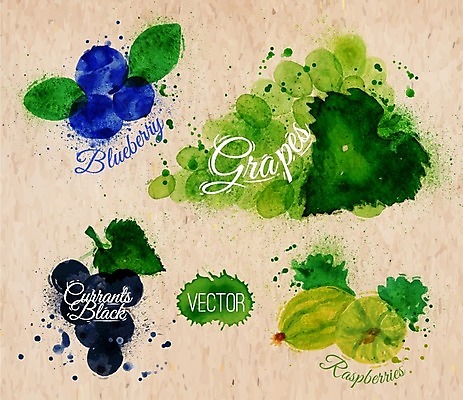 EPS 해외이미지 일러스트 포도 수채화 사람없음 청포도 블루베리 손그림 해외일러스트 과일 파일형식 벡터 이미지허브