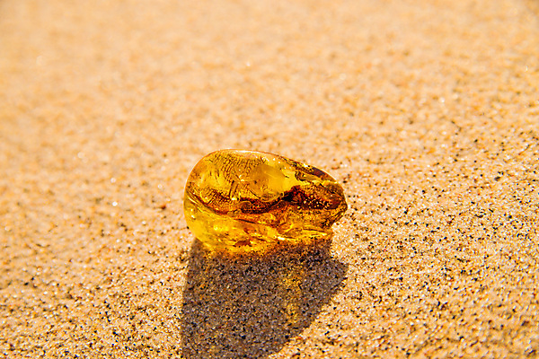 포토 JPG 해외이미지 자연 사람없음 빛 주황색 투명 보석 화석 앰버 해외포토 컬러 광석 생태계 파일형식 이미지허브