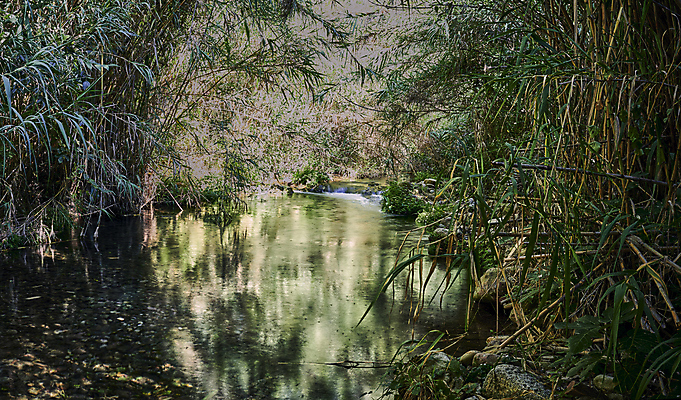 포토 JPG 해외이미지 호수 물결 파도 백그라운드 잎 패턴 모션 자연 벽지 국립공원 풍경 사람없음 야외 초록색 물 여름 빛 강 반사 환경 폭포 회색 젖음 바위 신선 원형 투명 액체 개울 매끈함 숲 작음 아래 질감 내추럴 현재 해외포토 자연요소 도형 식물 계절 공원 바다 컬러 컨셉 무늬 감각 크기 방향 생태계 위치 파일형식 이미지허브