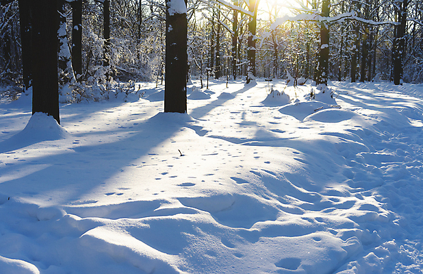포토 JPG 해외이미지 나무 계절 공원 백그라운드 크리스마스 겨울 자연 하늘 날씨 풍경 사람없음 야외 목재 가로 파란색 빛 햇빛 태양 일출 맑음 얼음 일몰 추위 흰색 신선 숲 서리 장면 자작나무 내추럴 눈내림 해외포토 자연요소 식물 공공시설 기념일 컬러 재료 눈_날씨 노을 생태계 파일형식 이미지허브