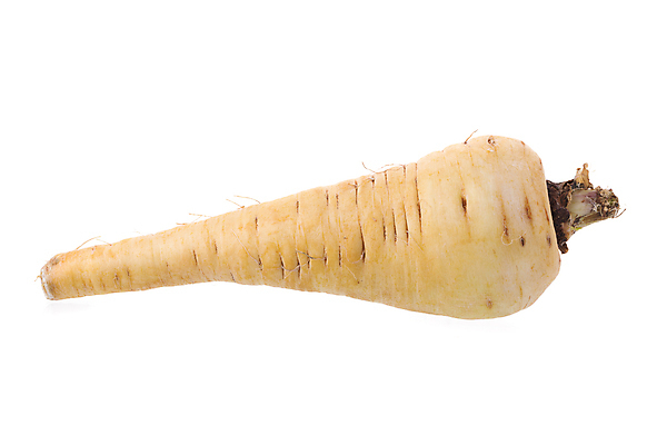 포토 JPG 해외이미지 식물 음식 백그라운드 농업 채소 파슬리 건강 요리 사람없음 당근 흰색 신선 달콤 먹기 유기농 날것 뿌리 섬유 성분 내추럴 고립 생식 식용 채식주의자 해외포토 웰빙 산업 컬러 모션 뿌리채소 직물 맛 채식 파일형식 이미지허브