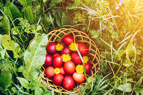 포토 JPG 해외이미지 전통 계절 꽃 행복 종교 음식 분홍색 백그라운드 오렌지 휴가 선물 이벤트 사람없음 목재 장식 초록색 파란색 컬러풀 노란색 바구니 축제 페인트 봄 흰색 축하 화려 그룹 둥지 4월 심볼 부활절계란 고립 핸드메이드 많음 해외포토 나무 식물 감정 컬러 컨셉 과일 재료 부활절 계란 날짜 파일형식 이미지허브
