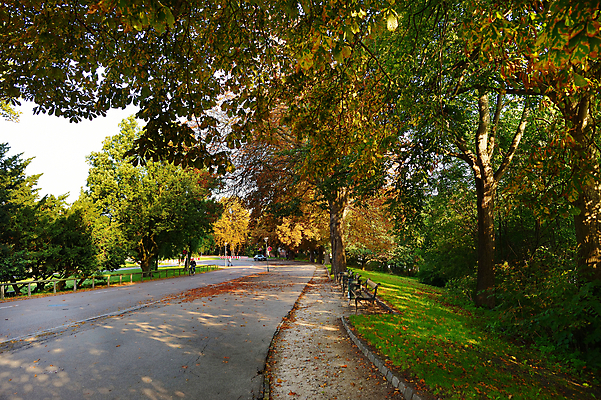 포토 JPG 해외이미지 나무 계절 공원 도로 길 백그라운드 잎 오렌지 자연 덴마크 풍경 사람없음 야외 빨간색 초록색 여름 컬러풀 갈색 노란색 평화 환경 산책 산책로 가을 황금 9월 11월 인도인 장면 자작나무 10월 내추럴 땅바닥 코펜하겐 해외포토 외국인 식물 공공시설 컬러 컨셉 과일 교통시설 휴식 바닥 북유럽 동양인 날짜 생태계 파일형식 이미지허브