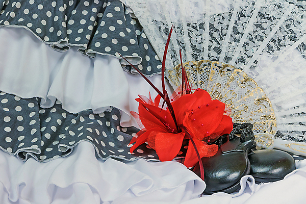 포토 JPG 해외이미지 전통 드레스 옷 여자 문화 미술 사람없음 빨간색 장미 유행 검은색 춤 부채 스페인 황금 우아함 히스패닉 민화 스페인어 앞머리 플라멩코 해외포토 헤어스타일 꽃 유럽 예술 컬러 컨셉 문화예술 사람 세계문화유산 그림 파일형식 이미지허브