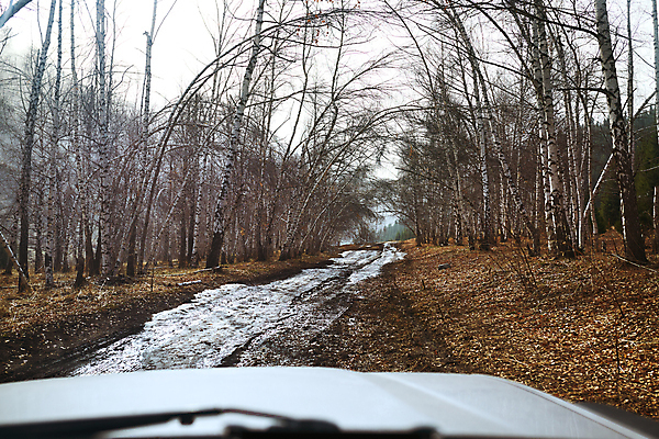 포토 JPG 해외이미지 라이프스타일 도로 육상교통 교통수단 여행 교통시설 자동차 자연 휴가 산 풍경 사람없음 가로 관광지 미국 운전 자유 웅덩이 캘리포니아 자작나무 발견 선로 오프로드 흙길 해외포토 나무 길 교통 컨셉 북아메리카 모션 생활 흙 시설 생태계 파일형식 이미지허브