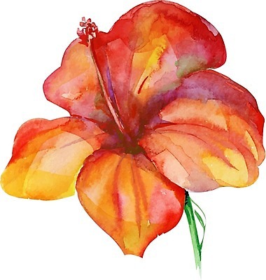 EPS 해외이미지 식물 꽃 일러스트 붓터치 수채화 사람없음 그림 번짐 해외일러스트 파일형식 벡터 효과 이미지허브