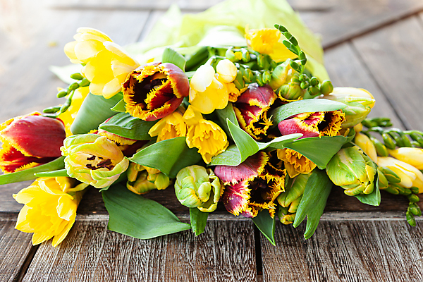 포토 JPG 해외이미지 꽃 꽃다발 꽃무늬 봄꽃 부활절 발렌타인데이 사람없음 목재 가로 컬러풀 노란색 봄 튤립 생일 수선화 어머니의날 해외포토 나무 식물 계절 기념일 컬러 무늬 재료 데이이벤트 미국문화 파일형식 이미지허브