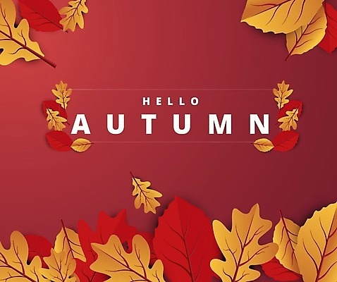 EPS 해외이미지 나무 식물 템플릿 디자인 배너 계절 포스터 리플렛 백그라운드 컨셉 단풍 잎 오렌지 일러스트 캘리그라피 텍스트 자연 벽지 휴가 프레임 선물 그래픽 장식 빨간색 컬러풀 노란색 라벨 세일 수확 가을 신용카드 인쇄 9월 사인 질감 초대 주말 추수감사절 10월 엘리먼트 레터링 해외일러스트 기독교 컬러 농업 과일 금융 날짜 생태계 파일형식 벡터 이미지허브