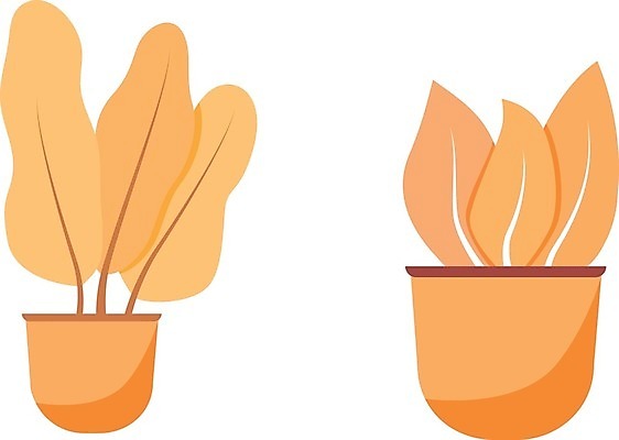 EPS 해외이미지 화분 줄기 잎 일러스트 사람없음 노란색 원예 반려식물 해외일러스트 식물 컬러 취미 파일형식 벡터 이미지허브
