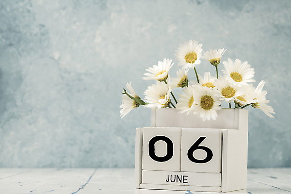 포토 JPG 해외이미지 식물 템플릿 계절 꽃 꽃다발 백그라운드 컨셉 탁자 사람없음 목재 여름 숫자 노란색 다이어리 보라색 블록 수확 달력 흰색 시간 날짜 계획 6월 6 연도 큐브 오브젝트 질감 복고 데이지 내추럴 월 옛날 오늘 조언 카피스페이스 해외포토 나무 문자 컬러 가구 농업 재료 사무용품 공백 파일형식 이미지허브