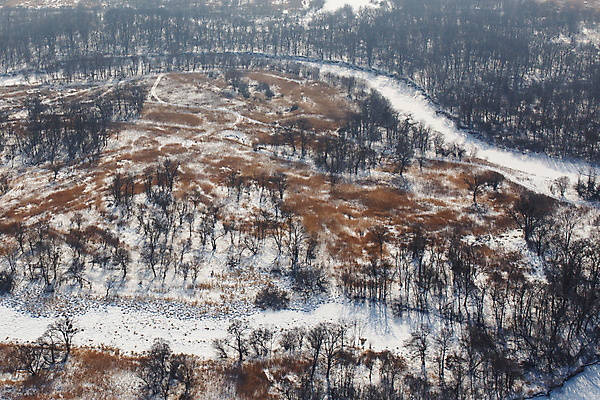 포토 JPG 해외이미지 나무 구름 계절 공원 유럽 백그라운드 크리스마스 겨울 밭 농업 자연 하늘 날씨 풍경 사람없음 야외 목재 물 파란색 빛 강 농장 농경지 냉동 얼음 일몰 추위 흰색 시골 신선 시원함 네덜란드 서리 장면 내추럴 밭일 옛날 폭설 눈내림 해외포토 자연요소 식물 공공시설 기념일 나라 산업 컬러 재료 눈_날씨 노을 자연재해 생태계 파일형식 이미지허브