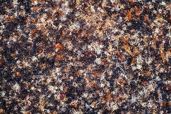 포토 JPG 해외이미지 동물 도로 여행 교통시설 조류 표면 사람없음 갈색 쌓기 시골 보행로 떨어짐 아스팔트 유기농 생태계 비둘기 냄새 불행 까마귀 방법 해외포토 웰빙 길 컬러 교통 컨셉 모션 시설 파일형식 이미지허브