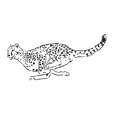 EPS 해외이미지 동물 템플릿 디자인 행복 야생동물 일러스트 포유류 아프리카 자연 털 동물원 미술 미소 그래픽 달리기 머리 점프 검은색 고양이 수확 흰색 점 황무지 인쇄 위험 만화 스케치 심볼 사파리 속도 흰배경 그림 복고 육식동물 고립 동물상 사바나 해외일러스트 감정 나라 컬러 컨셉 농업 모션 문화예술 표정 신체부위 반려동물 조형물 생태계 파일형식 벡터 산업 사람 이미지허브