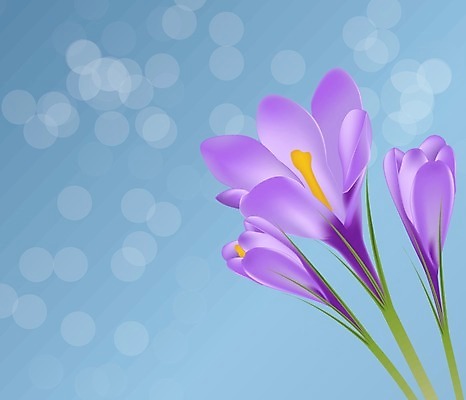 EPS 해외이미지 식물 계절 꽃잎 꽃 줄기 꽃다발 백그라운드 잎 일러스트 자연 초록색 파란색 농작물 머리 보라색 봄 들꽃 벚꽃 흰색 시골 투명 우아함 8 작음 자주색 자르기 오브젝트 싱글 장면 붓꽃 고립 해외일러스트 컬러 컨셉 농업 모션 신체부위 숫자 크기 생태계 파일형식 벡터 이미지허브