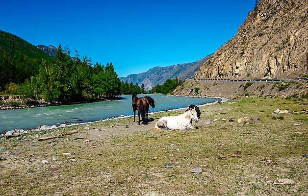 포토 JPG 해외이미지 공원 호수 여행 자연 아침 산 풍경 사람없음 야외 초록색 물 여름 파란색 반사 일출 계곡 맑음 침묵 연못 숲 내추럴 전국 절정 해외포토 주간 자연요소 계절 공공시설 컬러 날씨 노을 소리 생태계 파일형식 이미지허브