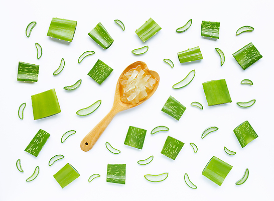 포토 JPG 해외이미지 스튜디오촬영 단면 실내 사람없음 하이앵글 흰배경 알로에 해외포토 식물 뷰포인트 백그라운드 내부 흰색 파일형식 이미지허브