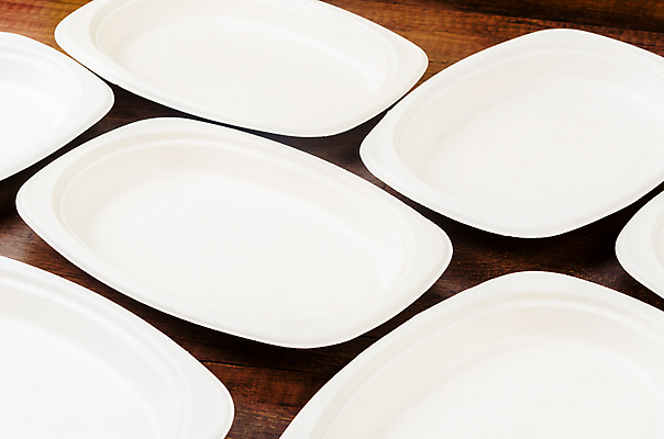 포토 JPG 해외이미지 식물 그릇 식기 접시 종이 음식 백그라운드 컨셉 포장 주방용품 사람없음 목재 소풍 갈색 환경 주방 공백 재활용 흰색 기구 떨어짐 쓰레기 폐기물 일회용 컨테이너 에코 친환경 생태계 팩 패키지 섬유 낭비 내추럴 판지 바이오 해외포토 나무 산업 컬러 생활용품 재료 야외활동 화장품 직물 파일형식 이미지허브