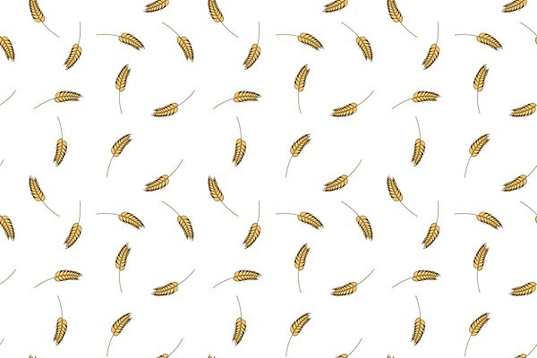 EPS 해외이미지 식물 템플릿 디자인 음식 빵 백그라운드 패턴 밭 농업 일러스트 자연 벽지 건강 씨앗 그래픽 장식 농작물 농장 갈색 노란색 수확 성장 흰색 시골 인쇄 낟알 시리얼 밀 유기농 질감 보리 페이지 섬유 내추럴 단백질 밭일 엘리먼트 호밀 통밀 귀리 해외일러스트 웰빙 산업 컬러 무늬 곡류 직물 생태계 영양소 파일형식 벡터 이미지허브