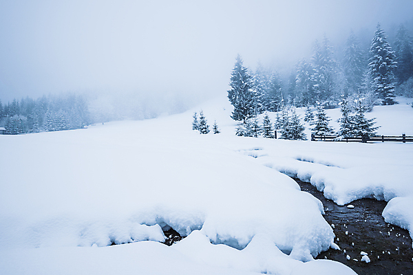 포토 JPG 해외이미지 나무 계절 유럽 여행 겨울 자연 날씨 휴가 산 파노라마 풍경 사람없음 물 강 환경 계곡 냉동 얼음 하이킹 추위 안개 흰색 시골 개울 숲 그림 서리 북쪽 산악지대 교외 제설기 폭설 눈내림 해외포토 자연요소 식물 나라 컬러 레저 눈_날씨 촬영기법 자연재해 방향 생태계 제설 파일형식 이미지허브