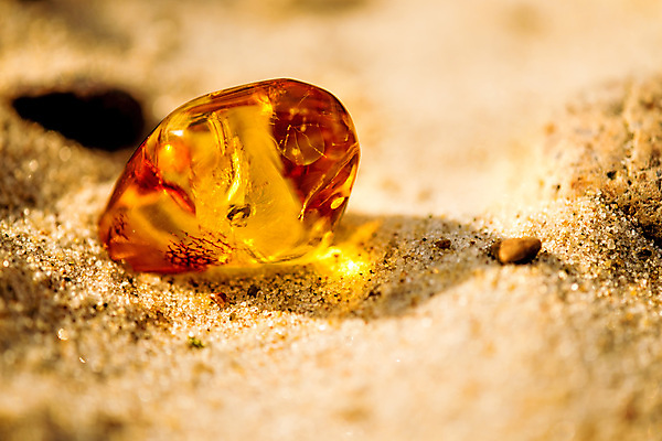 포토 JPG 해외이미지 자연 사람없음 빛 주황색 투명 보석 화석 앰버 해외포토 컬러 광석 생태계 파일형식 이미지허브