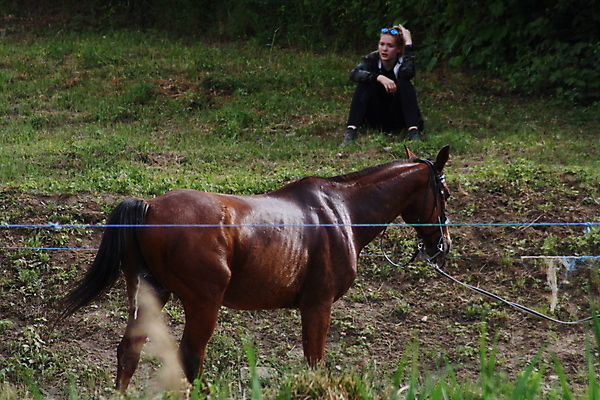 포토 JPG 해외이미지 동물 직업 커플 얼굴 백그라운드 밭 비즈니스 포유류 가족 서기 사람 사람없음 야외 초록색 사무실 갈색 아기 그룹 소 정상 작음 방목 먼지 갈기 온라인 해외포토 컬러 농업 관계 모션 신체부위 축산업 크기 파일형식 이미지허브
