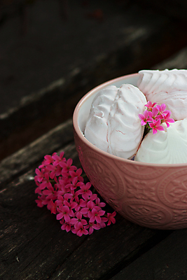 포토 JPG 해외이미지 전통 꽃 음식 분홍색 다이어트 과일 딸기 아침 디저트 발렌타인데이 건강 사람없음 목재 장식 빛 갈색 노란색 쿠키 케이크 기쁨 빵집 흰색 대접 신선 사발 달콤 맛 사과 설탕 크림 부드러움 내추럴 프랑스어 마시멜로우 머랭 파스텔톤 핸드메이드 머랭쿠키 해외포토 주간 나무 식물 문자 감정 컬러 컨셉 재료 데이이벤트 상점 감각 사기그릇 파일형식 이미지허브