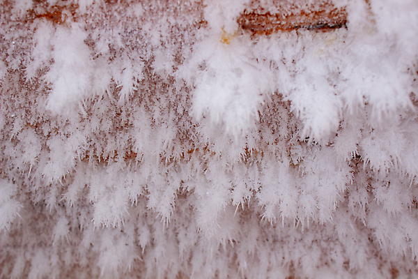 포토 JPG 해외이미지 나무 식물 디자인 계절 야생동물 벽 백그라운드 크리스마스 겨울 패턴 자연 벽지 표면 날씨 추상 미술 풍경 사람없음 야외 목재 물 파란색 빛 울타리 갈색 얼음 검은색 추위 흰색 떨어짐 널 숲 크리스탈 질감 서리 내추럴 그런지 반투명 눈내림 해외포토 자연요소 동물 기념일 컬러 컨셉 무늬 재료 문화예술 눈_날씨 담장 광석 생태계 파일형식 이미지허브