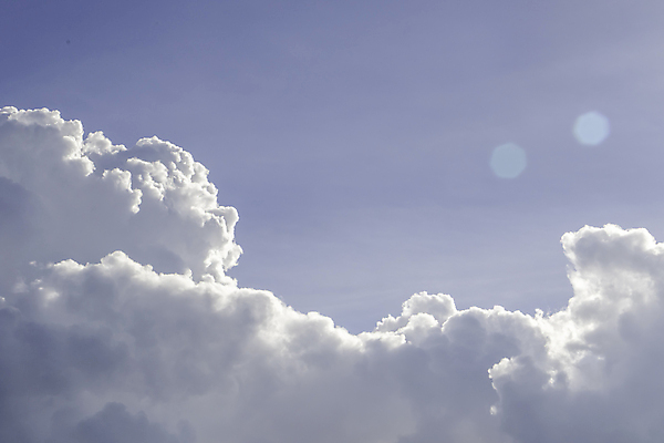 포토 JPG 해외이미지 나무 구름 실루엣 오렌지 자연 하늘 풍경 사람없음 빨간색 물 파란색 빛 강 태양 일출 황혼 일몰 도시 야간 저녁 시드니 스카이라인 수평선 해외포토 자연요소 식물 컬러 과일 촬영기법 노을 호주 생태계 파일형식 이미지허브