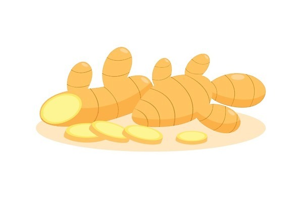 EPS 해외이미지 식물 디자인 음식 백그라운드 다이어트 채소 일러스트 재료 자연 수채화 잉크 건강 요리 동양인 약 갈색 노란색 머리 주방 흰색 신선 양념 조미료 맛 자르기 먹기 허브 향신료 유기농 매움 날것 슬라이스 아로마 뿌리 지하 생강 내추럴 고립 채식주의자 해외일러스트 웰빙 컬러 컨셉 의학 모션 인종 신체부위 생태계 채식 향미료 파일형식 벡터 이미지허브