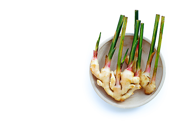 포토 JPG 해외이미지 그릇 줄기 실내 사람없음 흰배경 담기 생강 해외포토 식물 식기 백그라운드 채소 모션 내부 흰색 파일형식 이미지허브