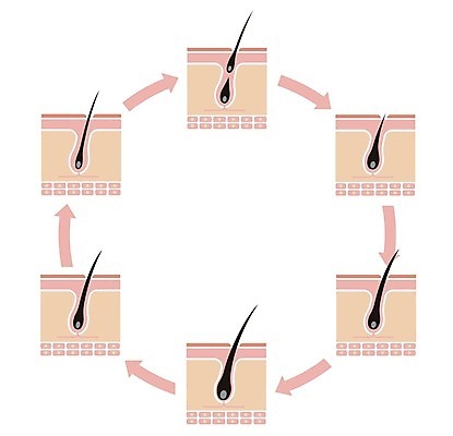 EPS 해외이미지 신체 일러스트 전구 해부 세포 건강 사람 약 머리 건강관리 상점 성장 피부 순환 뿌리 문제 층 삭제 돌봄 적자 해외일러스트 의학 모션 관리 신체부위 파일형식 벡터 이미지허브