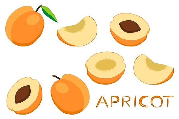 EPS 해외이미지 음식 조각 백그라운드 잎 다이어트 오렌지 일러스트 부분 자연 디저트 건조 사탕 씨앗 노란색 주스 껍질 신선 달콤 맛 상품 정상 만화 자르기 심볼 레이아웃 알맹이 날것 복숭아 덩어리 내추럴 고립 구역 살구 숙성 식용 개조 해외일러스트 식물 음료 컬러 컨셉 과일 모션 건강 생태계 파일형식 벡터 이미지허브