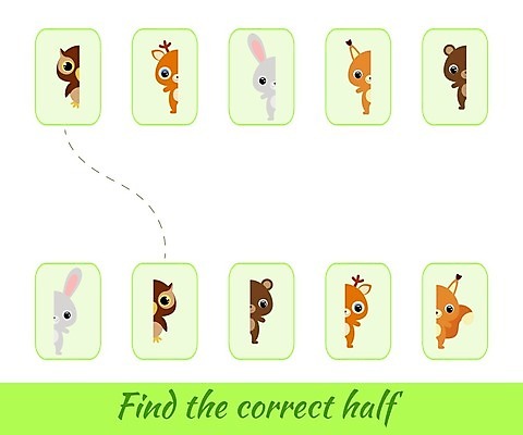 EPS 해외이미지 클립아트 동물 디자인 영어 교육 야생동물 어린이 일러스트 곰 학교 놀이 사슴 동물원 그림자 경기 단어 컬러풀 유치원 도전 게임 퍼즐 퀴즈 플랫 만화 다람쥐 부엉이 발견 고립 해외일러스트 문자 스포츠 컬러 포유류 조류 사람 설치류 파일형식 벡터 이미지허브