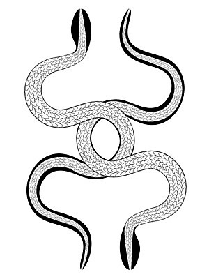 EPS 해외이미지 동물 템플릿 디자인 일러스트 추상 잉크 장식 검은색 어둠 힘 골동품 독약 뱀 고리 중세 인쇄 신비 스케치 문신 사인 그림 꼬리 공상 마법 부족 고딕 고립 영원 옛날 스타일 해외일러스트 컬러 컨셉 무늬 파충류 미술 역사 파일형식 벡터 이미지허브