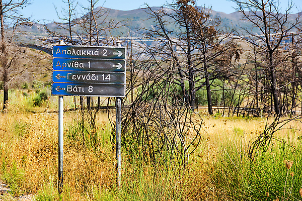 포토 JPG 해외이미지 나무 식물 계절 도로 자연 불 풍경 사람없음 여름 마을 손상 숲 위험 방향 그리스 사인 도로표지판 그리스인 내추럴 재앙 화상 해외포토 자연요소 서양인 유럽 길 컨셉 교통시설 표지판 상처 생태계 파일형식 이미지허브