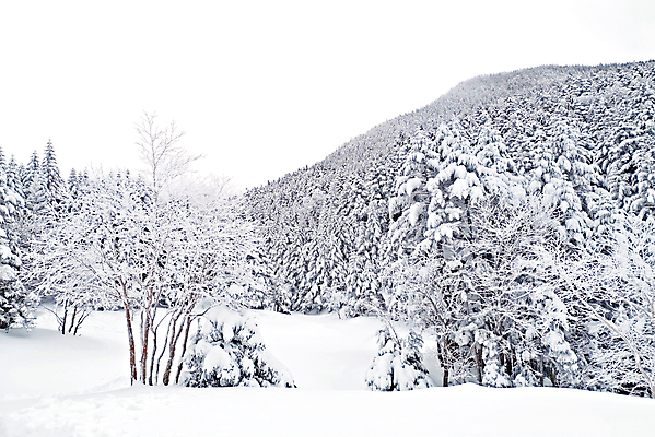 포토 JPG 해외이미지 나무 공원 아시아 여행 겨울 자연 동화 휴가 산 풍경 사람없음 야외 일본 냉동 얼음 하이킹 추위 탐험 흰색 숲 캠핑장 언덕 내추럴 눈내림 해외포토 자연요소 식물 계절 공공시설 나라 컬러 레저 눈_날씨 캠핑 생태계 파일형식 이미지허브