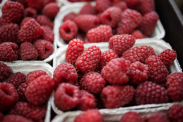 포토 JPG 해외이미지 식물 계절 백그라운드 다이어트 과일 재료 건강 식이요법 사람없음 빨간색 컬러풀 봄 컨테이너 날것 산딸기 매각 바이오 생태학 채식주의자 비건 해외포토 교육 산업 컬러 채식 파일형식 이미지허브