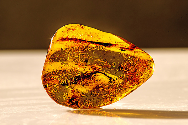 포토 JPG 해외이미지 자연 사람없음 빛 주황색 투명 보석 화석 앰버 해외포토 컬러 광석 생태계 파일형식 이미지허브