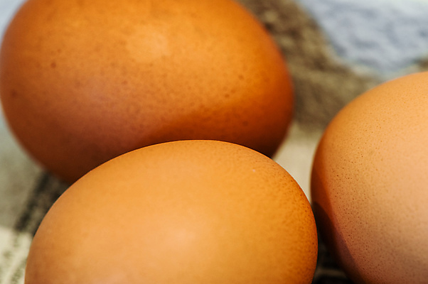 포토 JPG 해외이미지 모양 음식 다이어트 재료 아침 건강 3 그림자 요리 사람없음 갈색 계란 식사 껍질 시골 신선 원형 아침식사 상품 다발 묘사 오브젝트 유기농 레시피 모음 내추럴 고체 단백질 취급주의 해외포토 주간 도형 웰빙 컬러 경고 알 영양소 파일형식 이미지허브