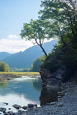 포토 JPG 해외이미지 나무 구름 자연 하늘 아침 산 풍경 사람없음 물 여름 파란색 강 계곡 개울 숲 강가 해외포토 주간 자연요소 식물 계절 컬러 생태계 파일형식 이미지허브
